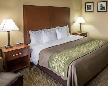 Standard Room, 1 King Bed, Non Smoking
