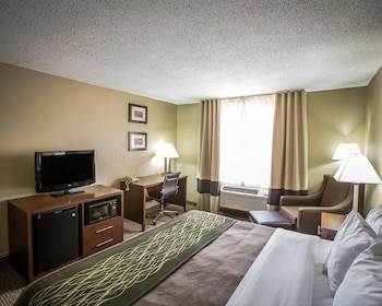 Standard Room, 1 King Bed, Non Smoking