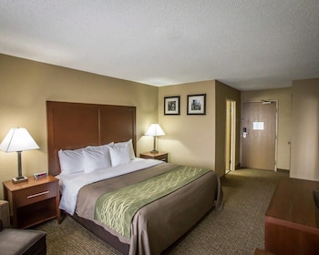 Standard Room, 1 King Bed, Non Smoking