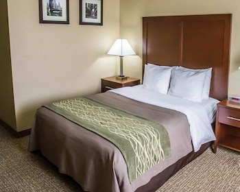 Standard Room, 1 King Bed, Non Smoking