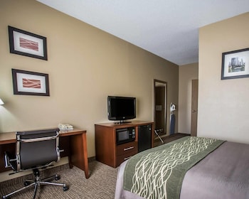 Standard Room, 1 King Bed, Non Smoking