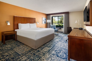 Room, 1 King Bed