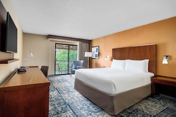 Room, 1 King Bed, Garden View