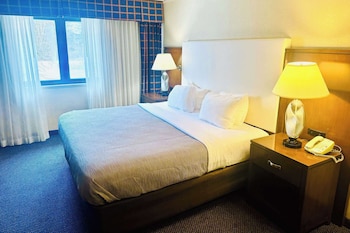 Room, 1 King Bed, Accessible, Non Smoking