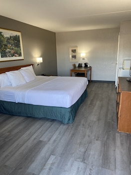 Deluxe Room, 1 King Bed, Non Smoking