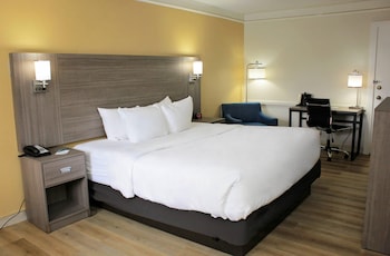 Room, 1 King Bed, Accessible, Non Smoking (Accessible Tub)