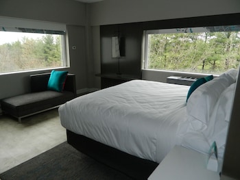 Standard Room, 1 King Bed, Accessible (Roll-In Shower)
