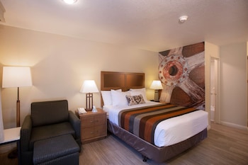 Standard Room, 1 Queen Bed, Non Smoking, Refrigerator & Microwave (with Sofabed)