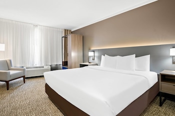Room, 1 King Bed, Non Smoking