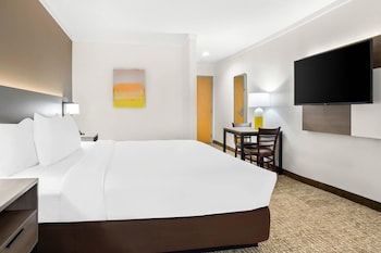 Standard Room, 1 King Bed with Sofa bed, Non Smoking