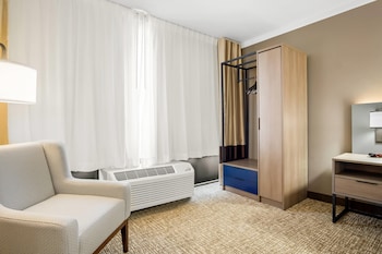Room, 1 King Bed, Non Smoking