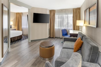 Suite, 1 King Bed, Non Smoking, Patio (with Sofabed)
