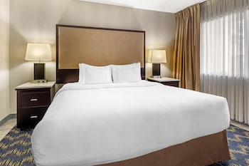 Suite, 1 King Bed, Non Smoking (Pet Friendly;with Sofabed)
