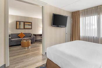 Suite, 1 King Bed, Accessible, Bathtub (Pet Friendly;with Sofabed)