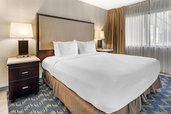 Suite, 1 King Bed, Non Smoking, Patio (with Sofabed)