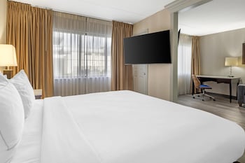 Suite, 1 King Bed, Non Smoking, Patio (with Sofabed)
