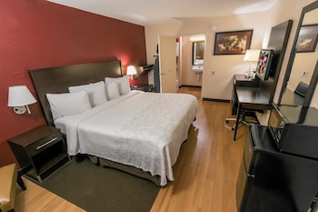 Superior Room, 1 King Bed, Accessible (Roll-In Shower, Smoke Free)