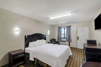 Room, 1 King Bed, Non Smoking (Pet Friendly)