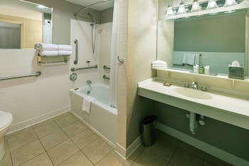 Suite, 1 Bedroom (Bi-Level)