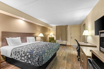Standard Room, 1 King Bed, Smoking