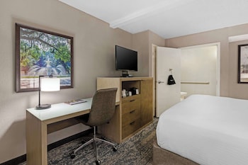 Standard Room, 1 King Bed, Accessible, Non Smoking