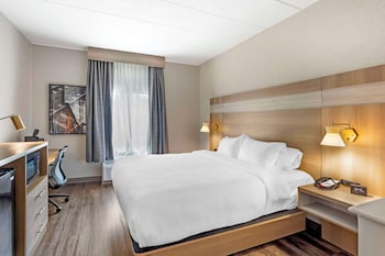 Suite, 1 King Bed, Accessible, Kitchenette (with Sofabed)
