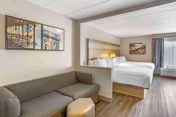 Suite, 1 King Bed, Non Smoking, Kitchenette (with Sofabed)