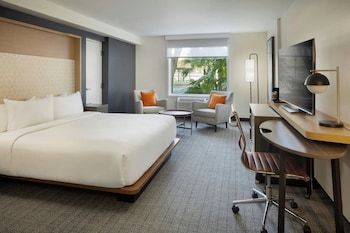 Room, 1 King Bed
