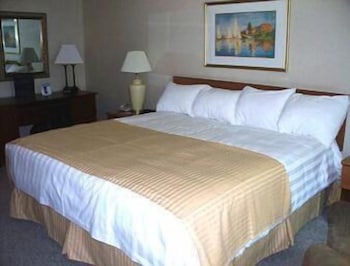Studio Suite, 1 King Bed, Non Smoking