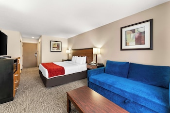 Standard Room, 1 King Bed, Non Smoking, Refrigerator & Microwave (with Sofabed)
