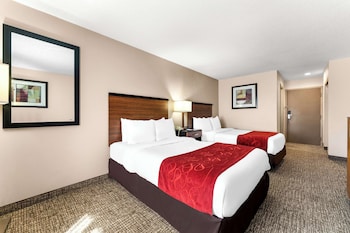 Standard Room, 2 Double Beds, Non Smoking, Refrigerator & Microwave