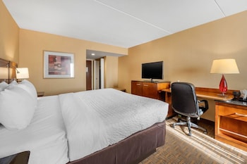 Standard Room, 1 King Bed, Non Smoking