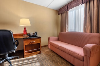 Standard Room, 1 King Bed, Non Smoking