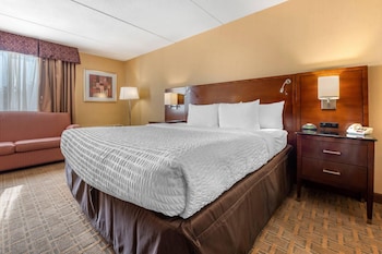Standard Room, 1 King Bed, Non Smoking
