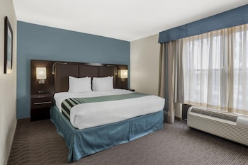 One Bedroom Suite, 1 King Bed, Non Smoking, Refrigerator & Microwave (with Sofabed)