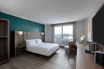 Suite, 1 Bedroom