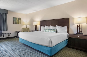 Standard Room, 1 King Bed, Non Smoking