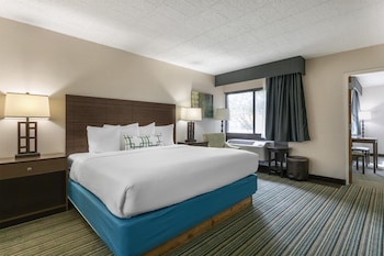 Suite, 1 King Bed, Non Smoking, Refrigerator (with Sofabed)