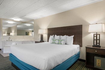 Suite, 1 King Bed, Non Smoking, Jetted Tub (with Sofabed)