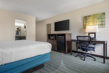 Standard Room, 1 King Bed, Non Smoking