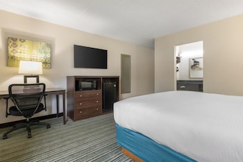 Suite, 1 King Bed, Non Smoking, Refrigerator (with Sofabed)