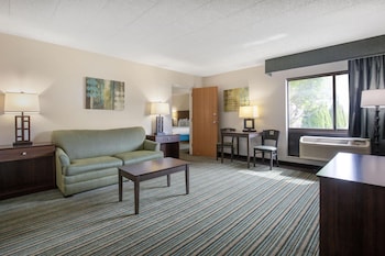 Suite, 1 King Bed, Non Smoking, Refrigerator (with Sofabed)
