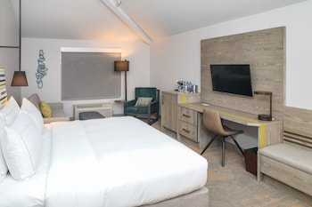 Room, 1 King Bed