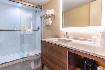 Standard Room, 1 King Bed, Roll-in Shower (Communications Accessible)