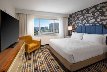 Suite, 1 King Bed