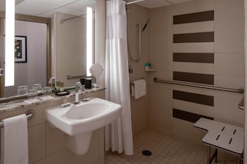 Room, 1 King Bed, Accessible (Shower)