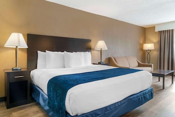 Standard Room, 1 King Bed, Non Smoking, Refrigerator & Microwave (with Sofabed)