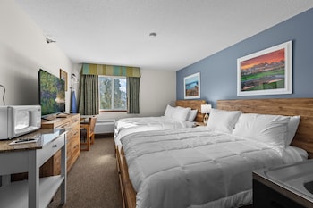 North Long Lake Family Kitchenette
