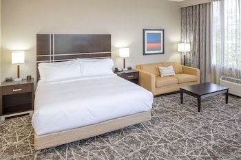 Room, 1 King Bed with Sofa bed