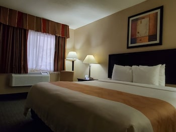 Standard Room, 1 King Bed, Accessible Roll-In Shower, Non Smoking